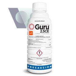 Guru 2.5 C.E, ALR011